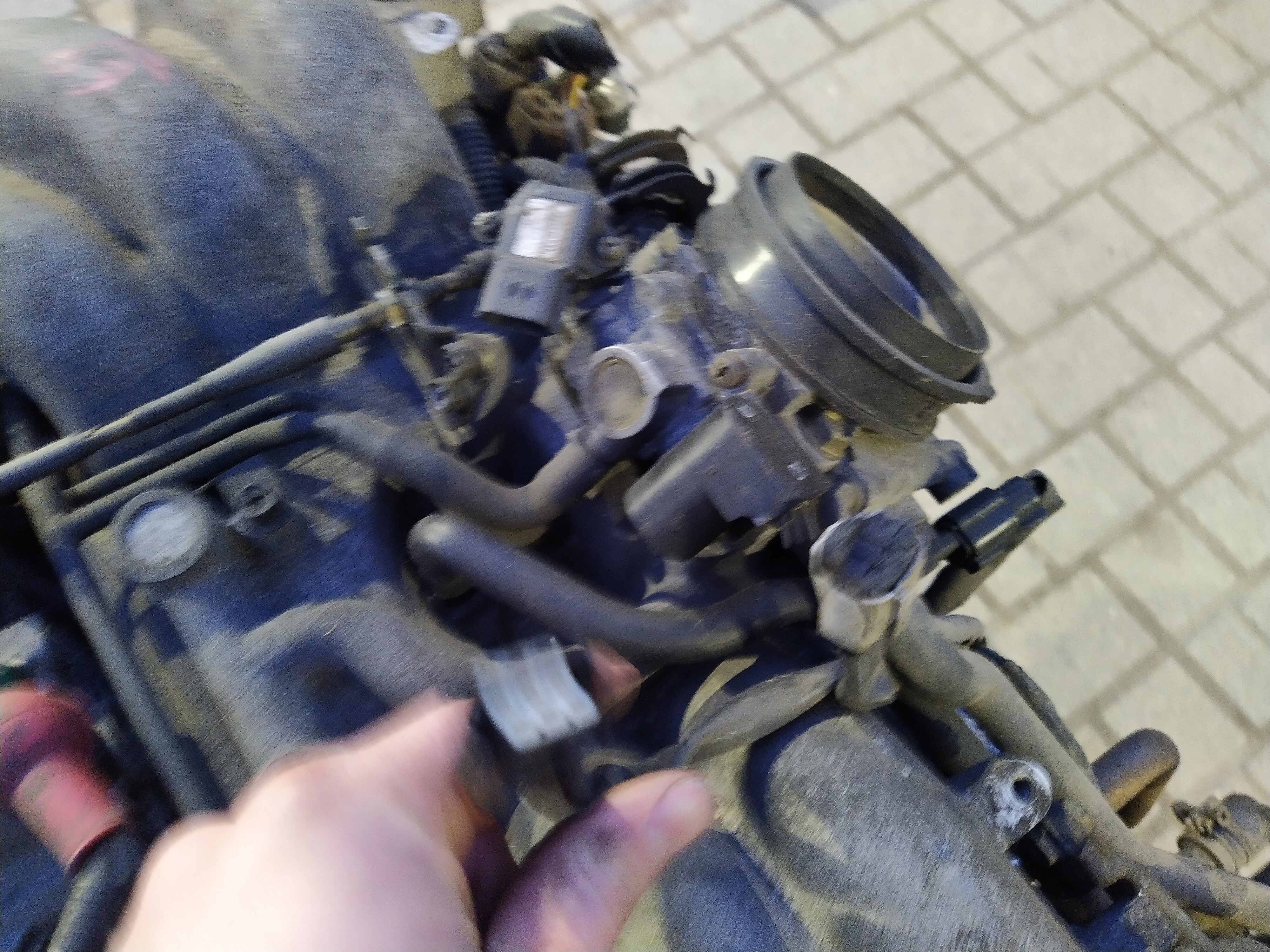 EZ30D Motor von Subaru Outback H6 BE BH