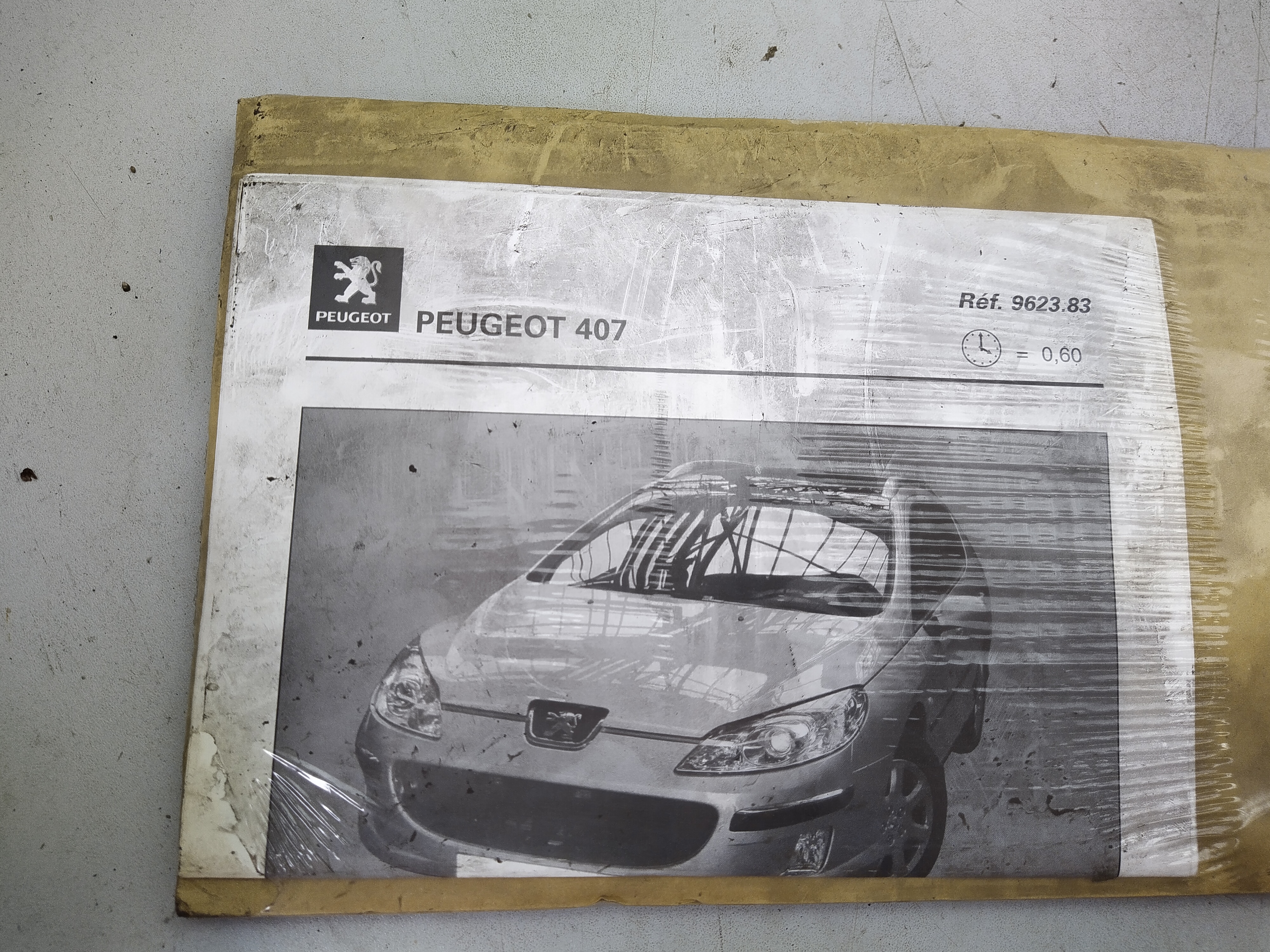 PEUGEOT 407 TÜRSCHWELLENLEISTEN VORNE UND HINTEN EDELSTAHL GEBÜRSTET 962383 NEU NOS