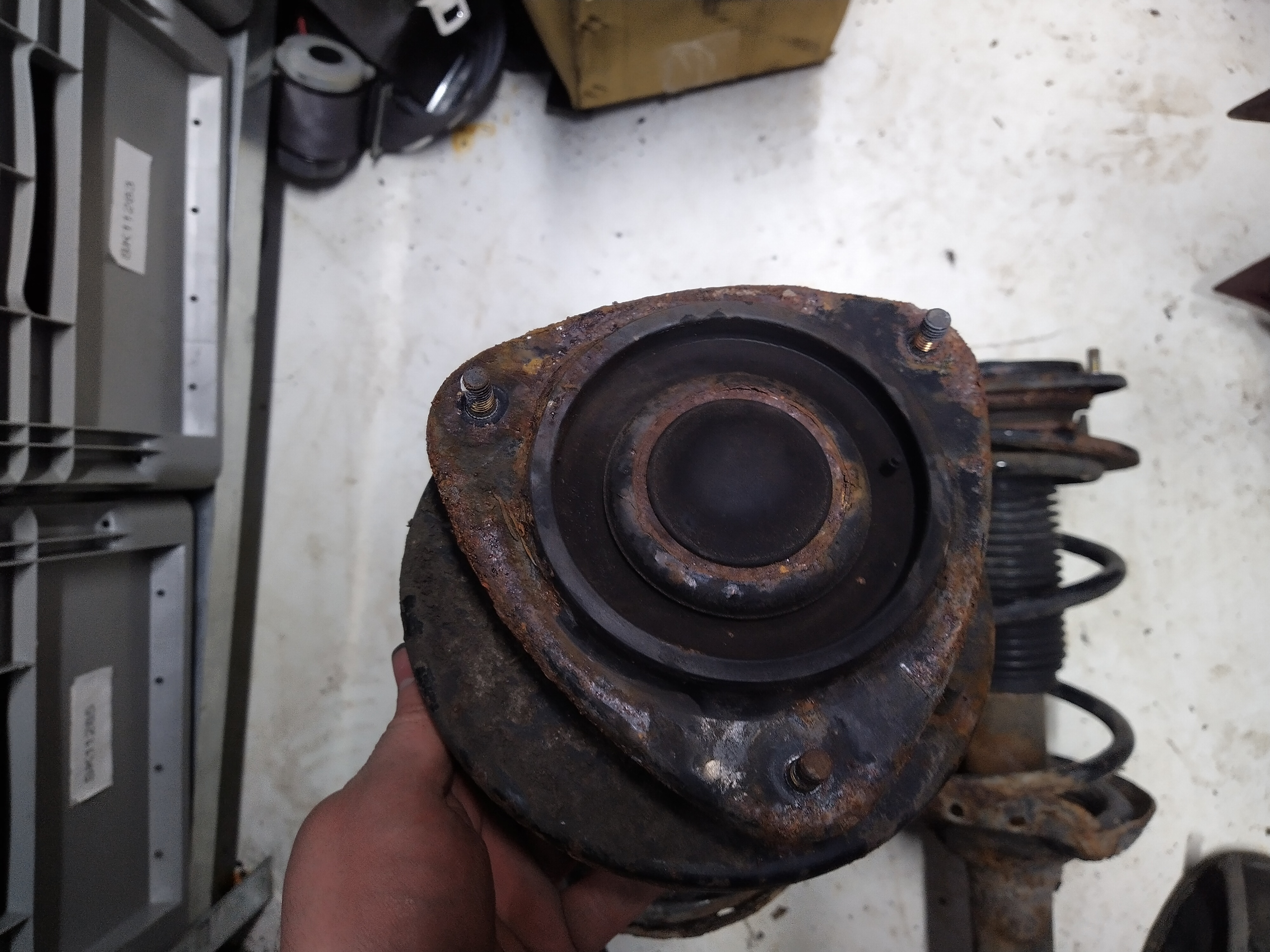 Paar Federbeine Stoßdämpfer Federn vorne Subaru Legacy  IV 4 BL BP
