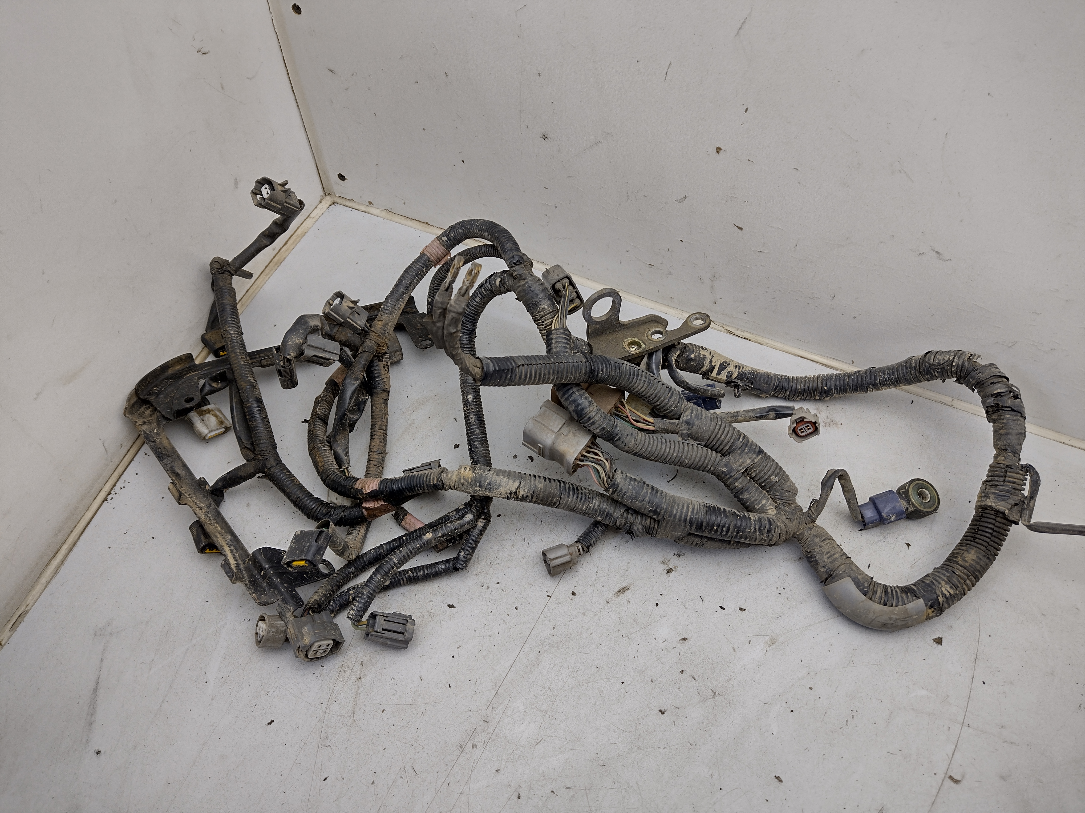 Kompletter Motorkabelbaum von Subaru Outback H6 EZ30D