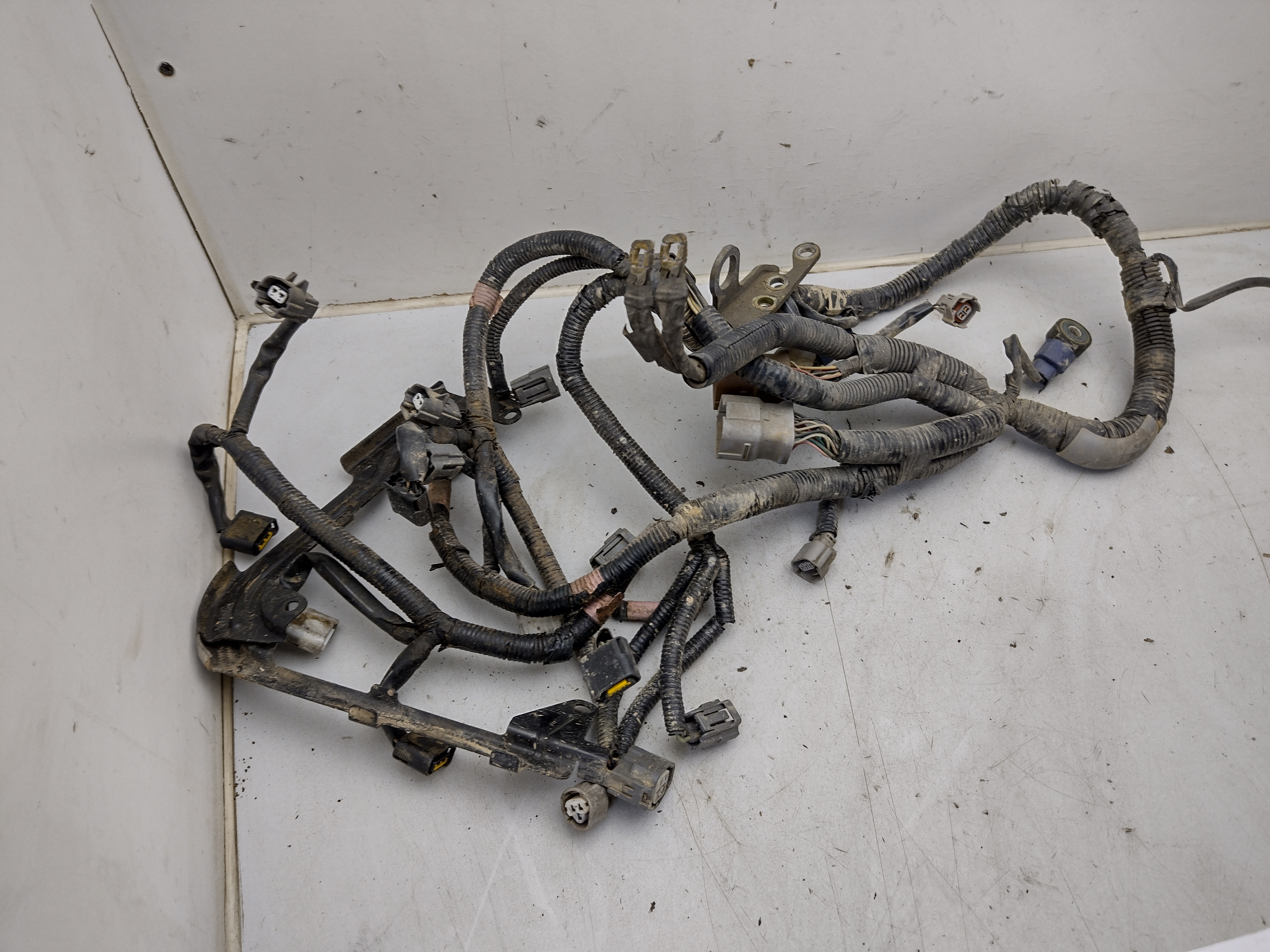Kompletter Motorkabelbaum von Subaru Outback H6 EZ30D